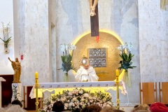 PXL_20260405_041851367