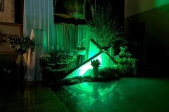 PXL_20260404_175231574.NIGHT_