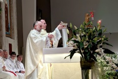 PXL_20260404_201016305.NIGHT_